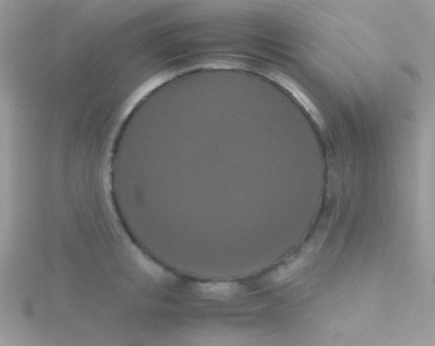 X0000115390853200911241245