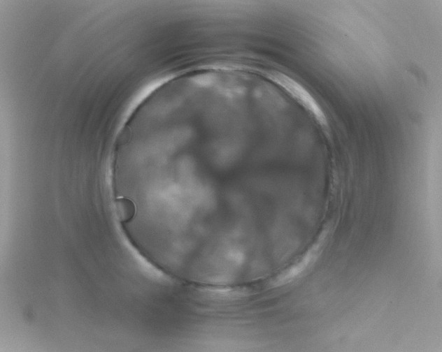 X0000115390855200911241245