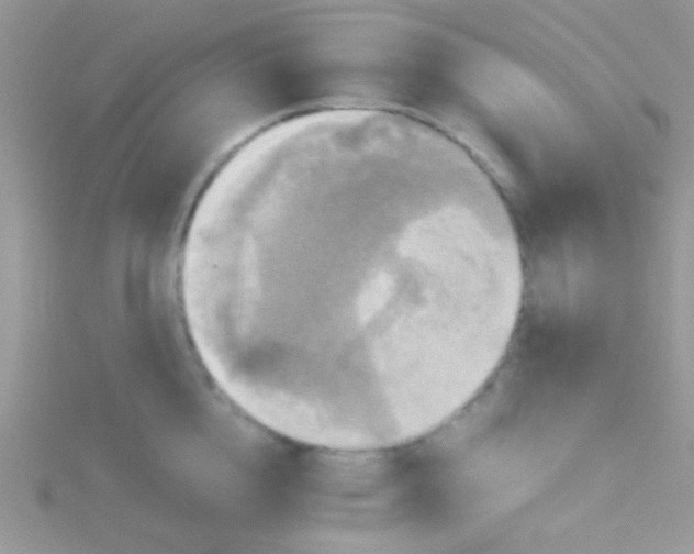 X0000115390856200911241245