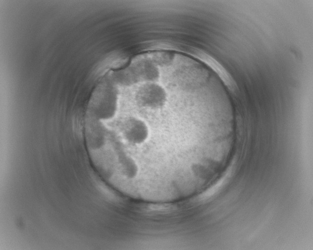 X0000115390857200911241245