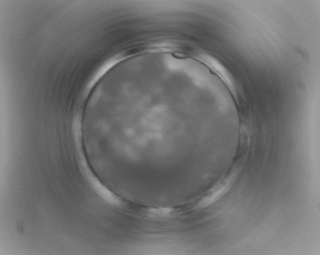 X0000115390859200911241245