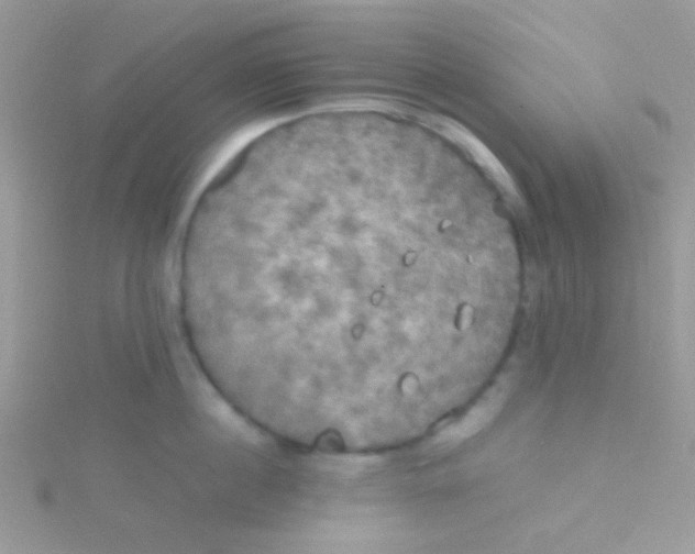 X0000115390860200911241245