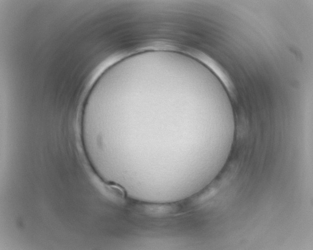 X0000115390861200911241245