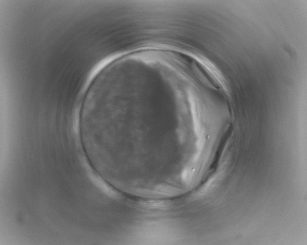 X0000115390862200911241245