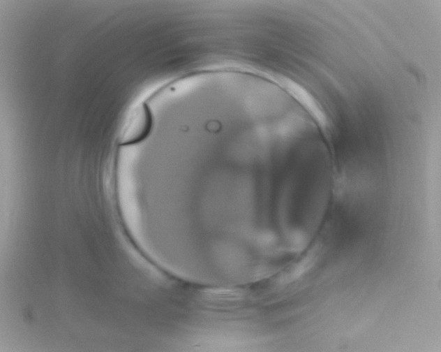 X0000115390863200911241245