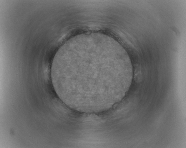 X0000115390866200911241244