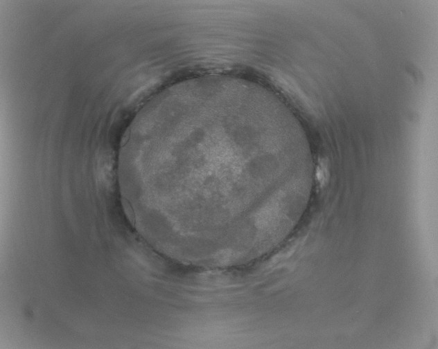 X0000115390867200911241244