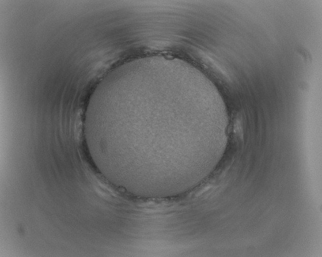 X0000115390868200911241244