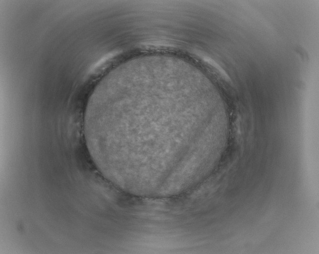 X0000115390870200911241244