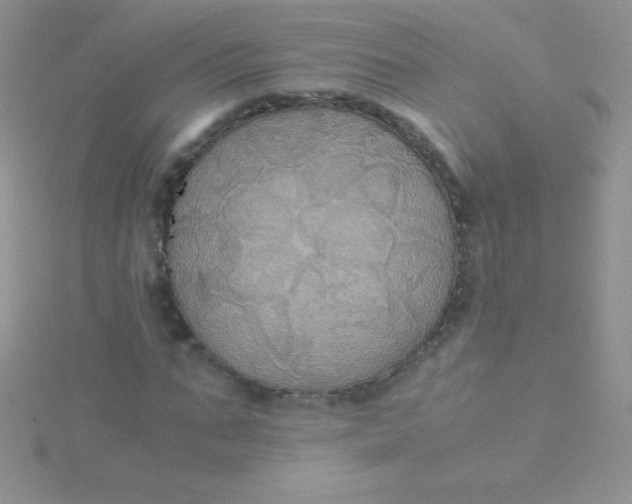 X0000115390871200911241244