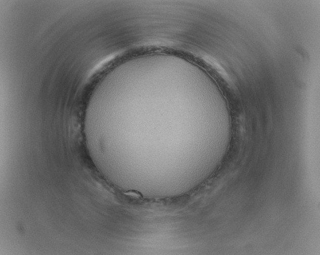 X0000115390872200911241244