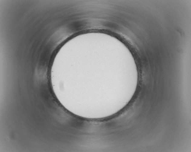 X0000115390873200911241244