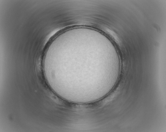 X0000115390875200911241244