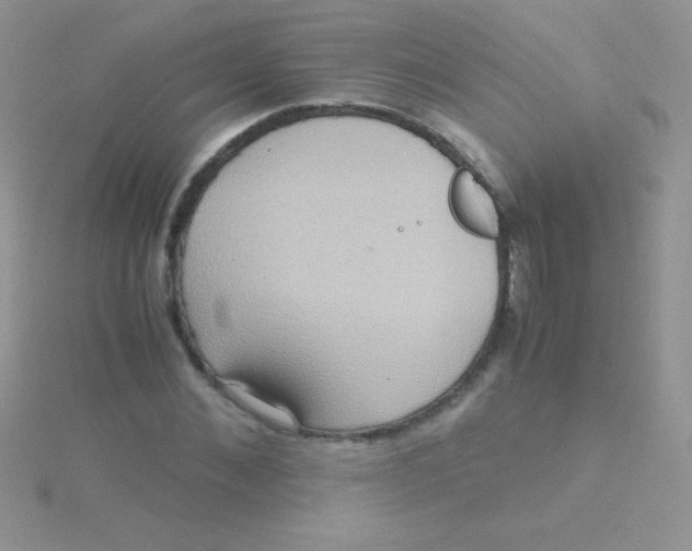 X0000115390876200911241244