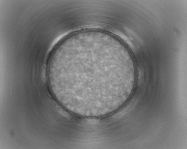 X0000115390878200911241244