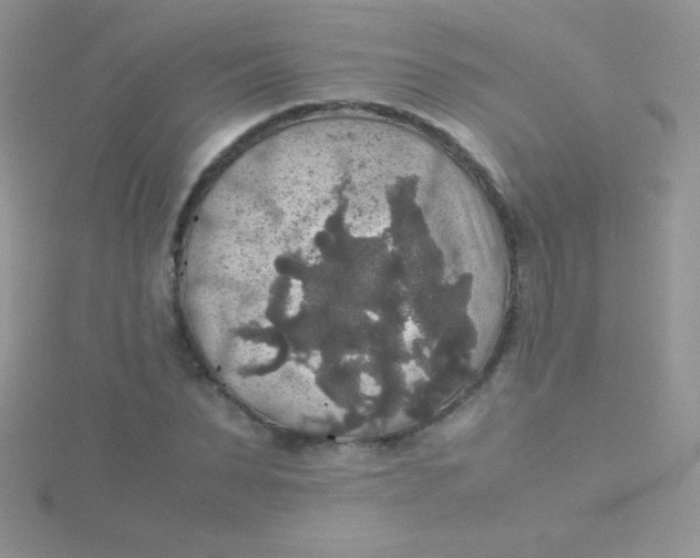 X0000115390879200911241244