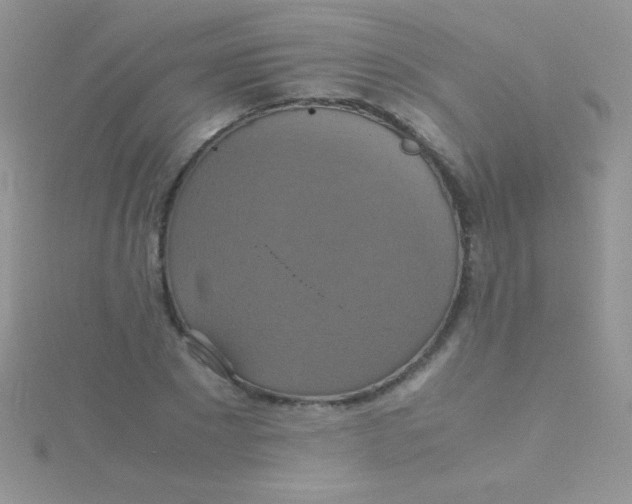 X0000115390881200911241244