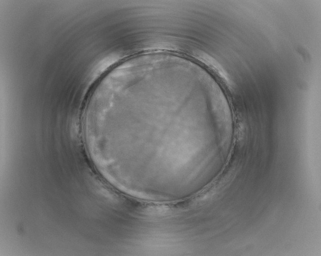 X0000115390882200911241244