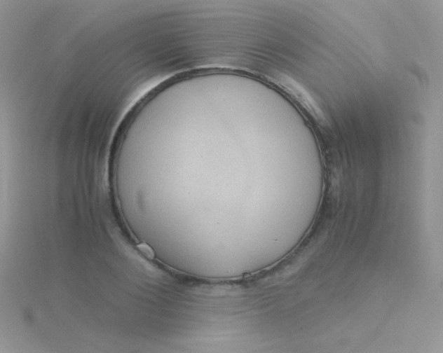 X0000115390884200911241244