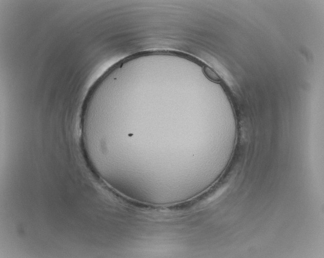 X0000115390885200911241244