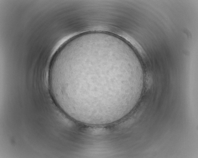 X0000115390886200911241244