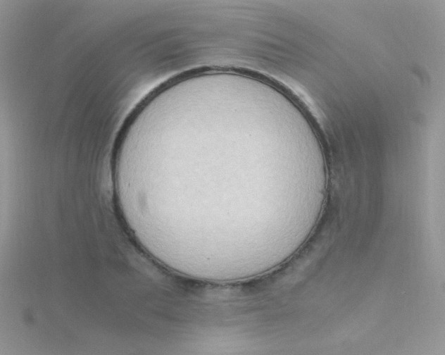 X0000115390887200911241244