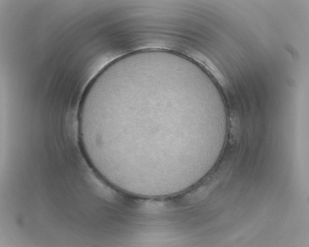 X0000115390890200911241244