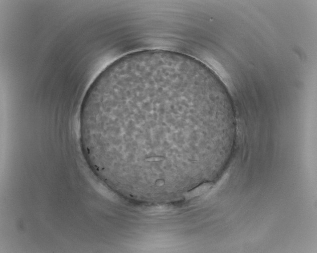 X0000115390891200911241244