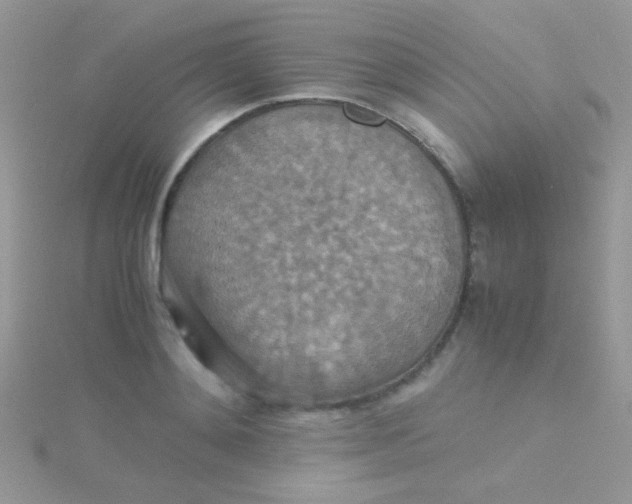 X0000115390892200911241244