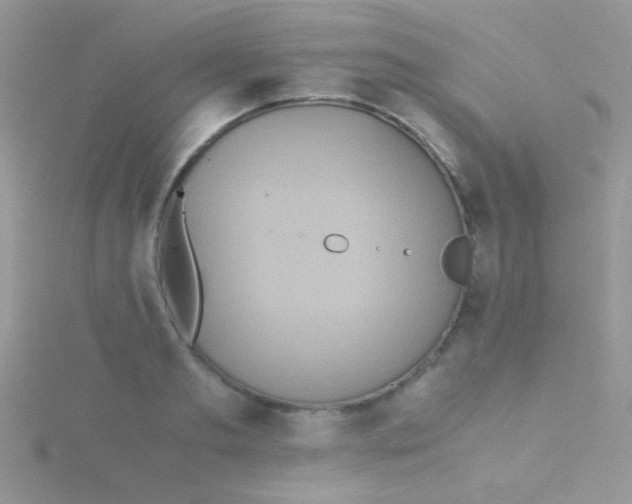 X0000115390893200911241244