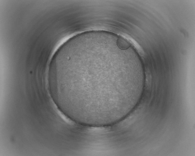 X0000115390894200911241244