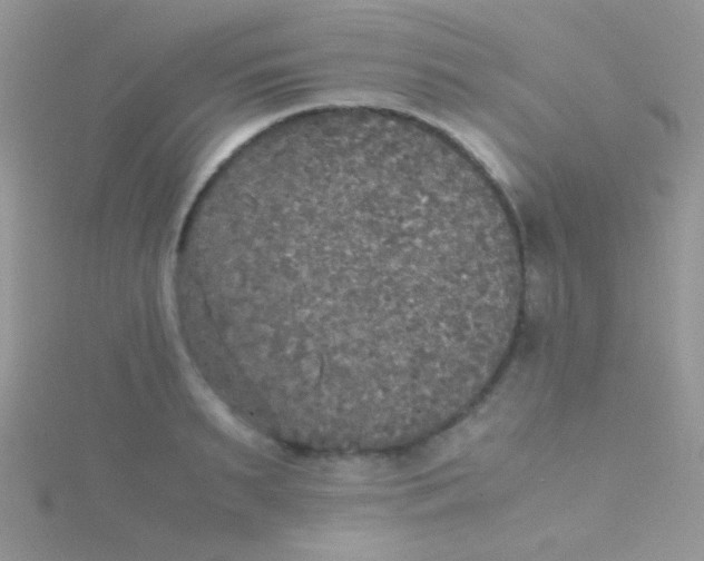 X0000115390895200911241244