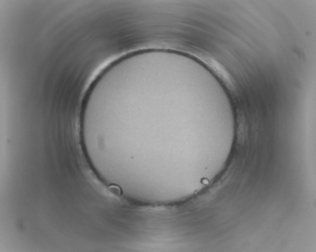 X0000115390896200911241244