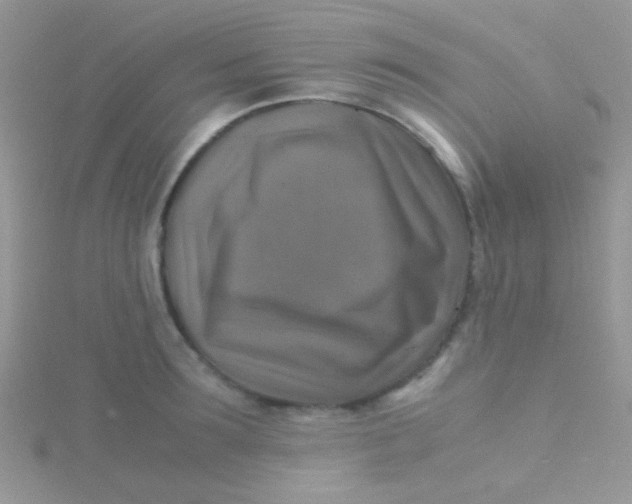 X0000115390899200911241244