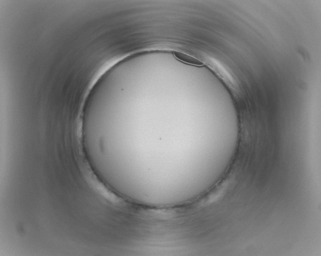 X0000115390900200911241244