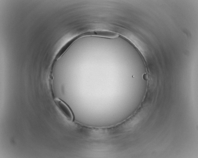 X0000115390901200911241244