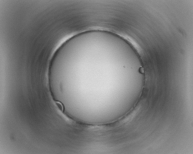 X0000115390902200911241244