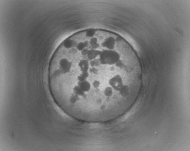 X0000115390903200911241244