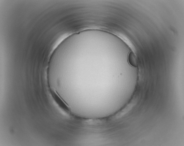 X0000115390906200911241244