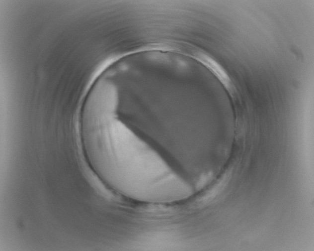 X0000115390907200911241244