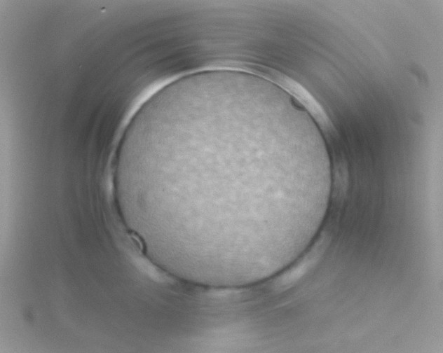 X0000115390908200911241244