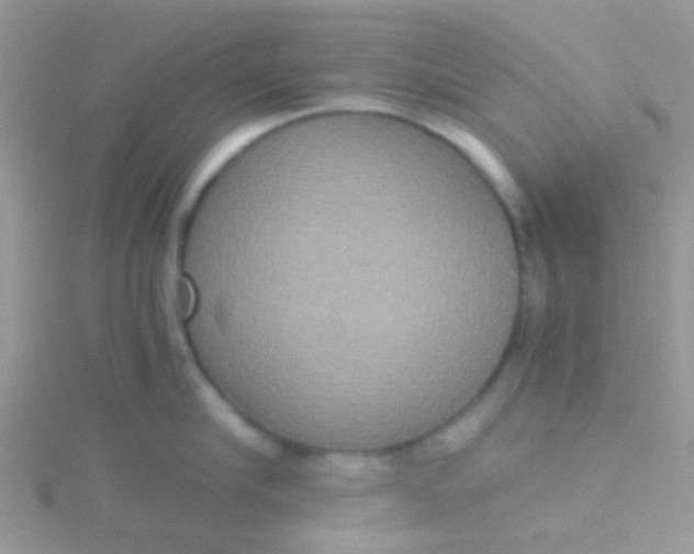 X0000115390910200911241244