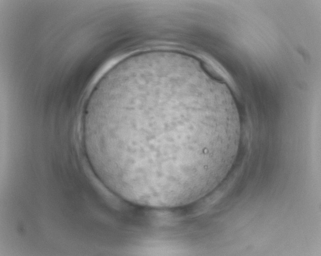 X0000115390911200911241244