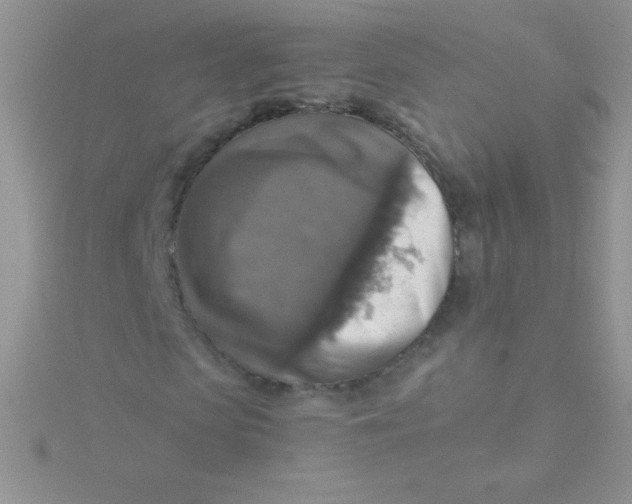 X0000115390913200911241243