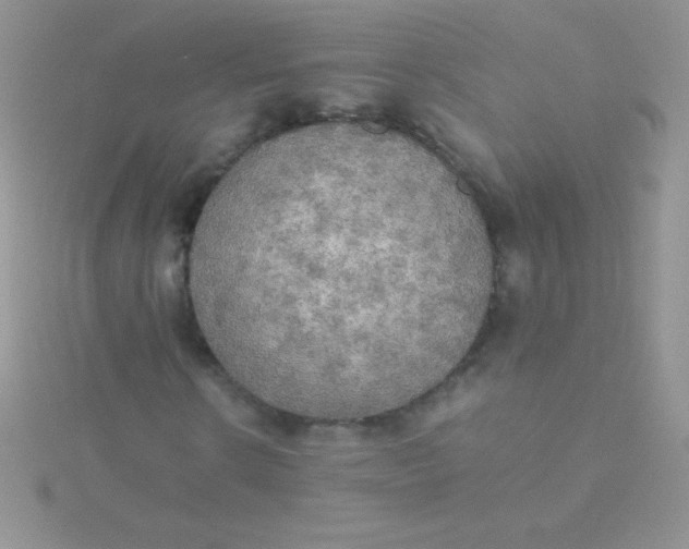 X0000115390914200911241243