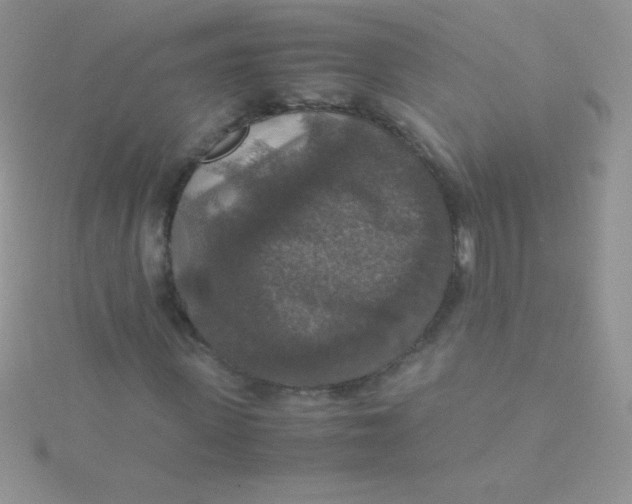 X0000115390915200911241243