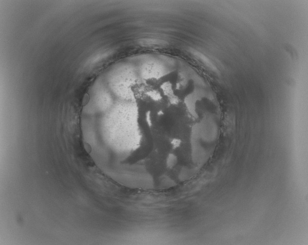 X0000115390917200911241243