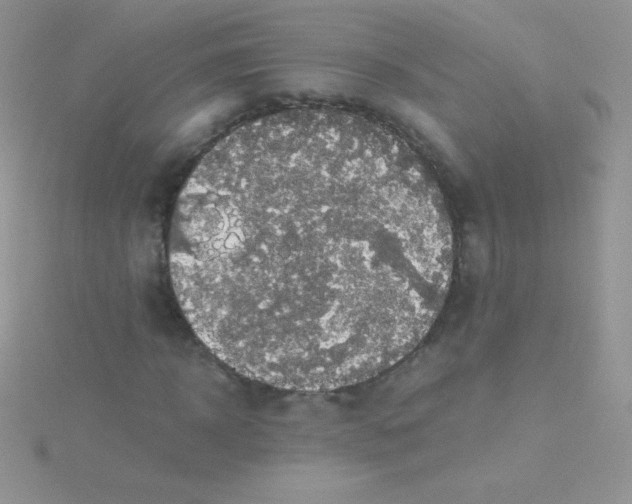 X0000115390918200911241243