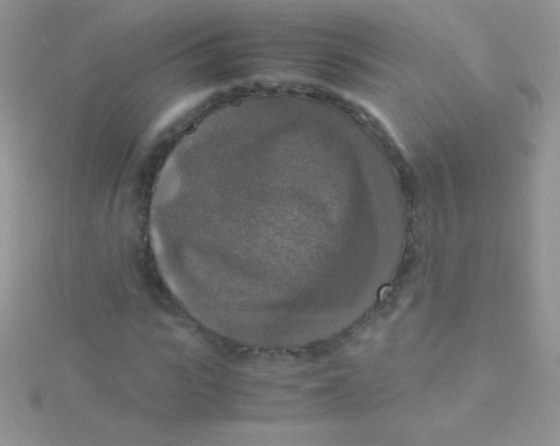 X0000115390919200911241243