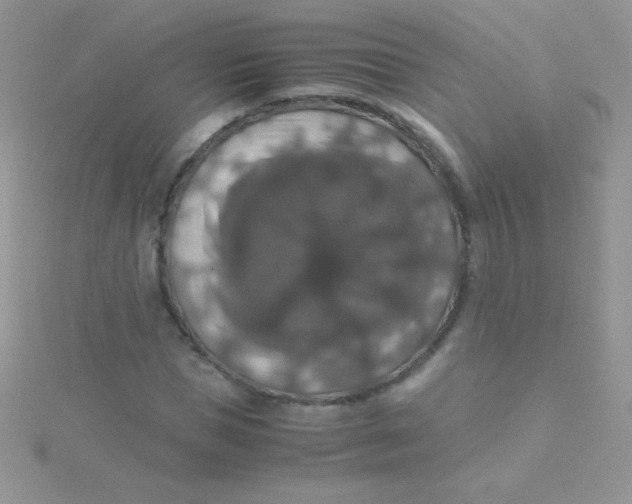 X0000115390921200911241243